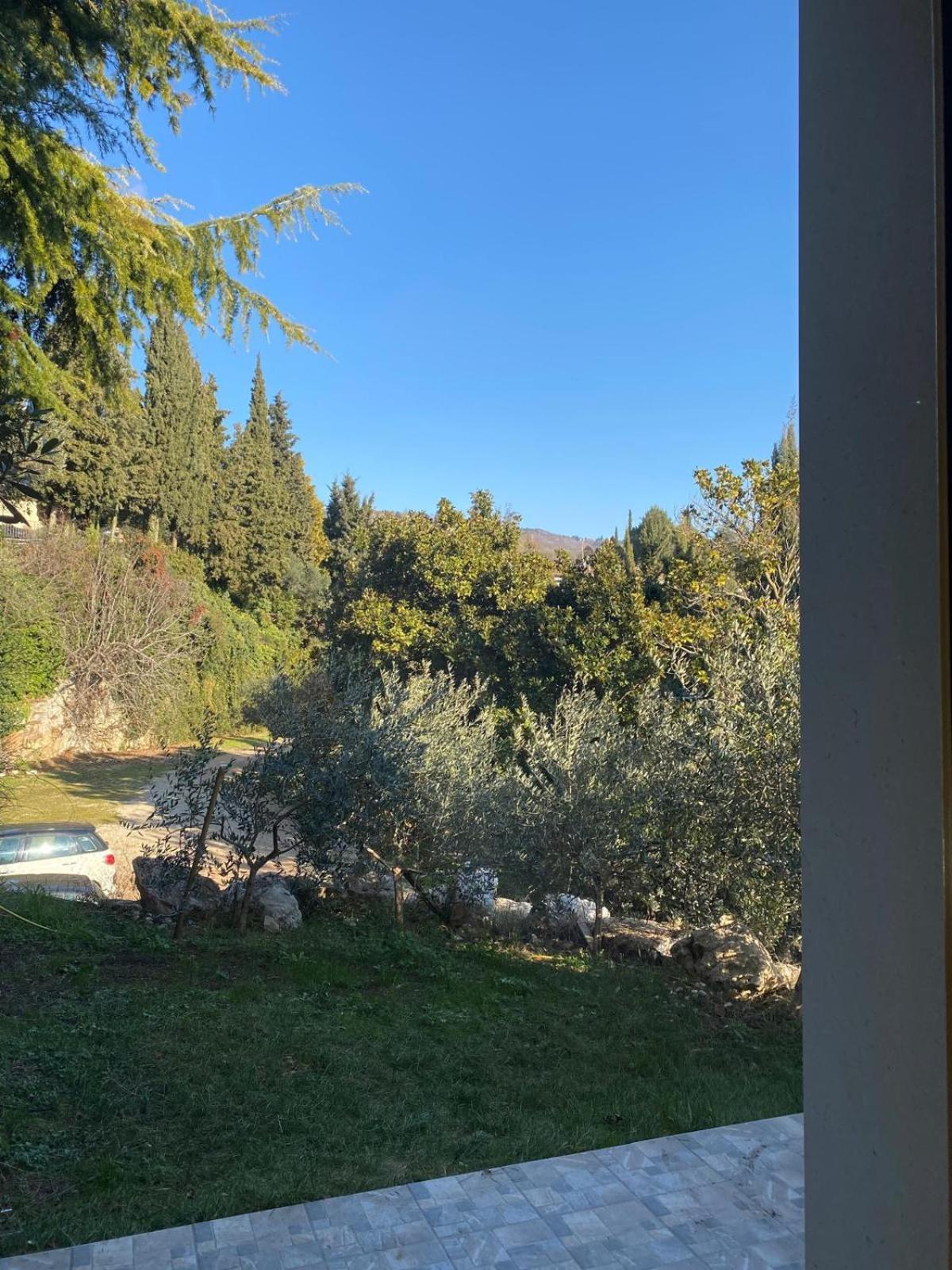Agriturismo I Merli SantʼAmbrogio di Valpolicella Exteriér fotografie